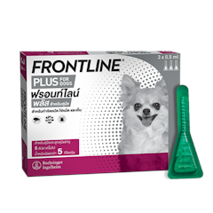 Frontline plus pantip online