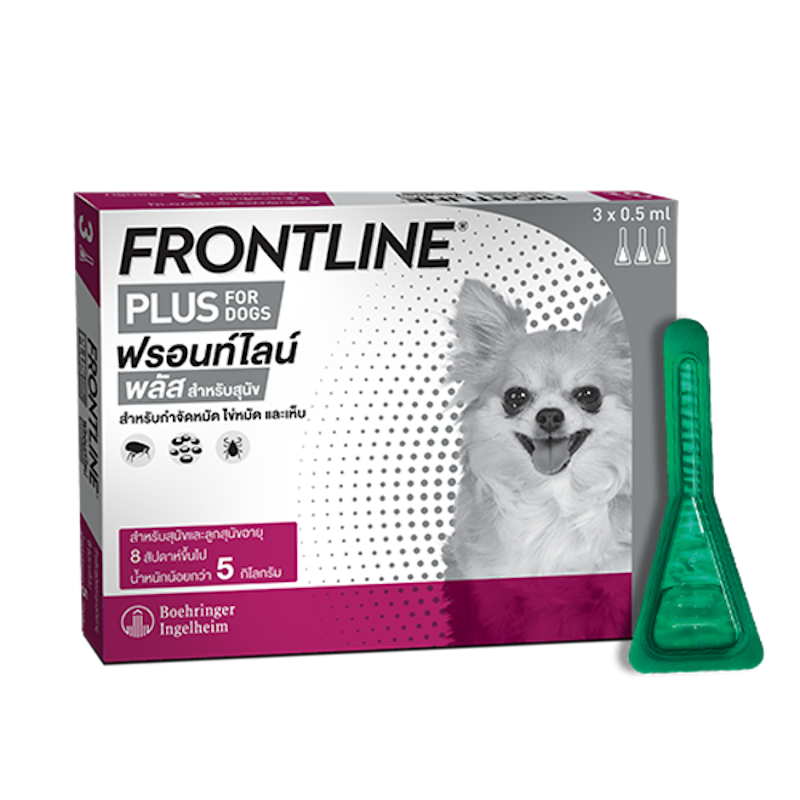 Frontline clearance plus pantip