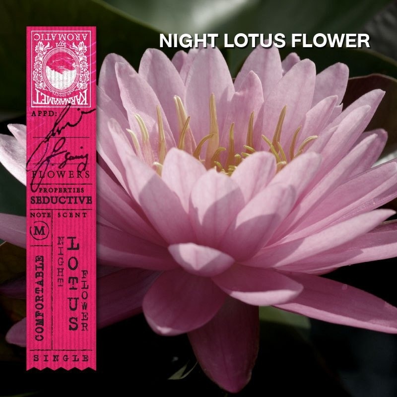 Traditional Asian Perfume Sachet - Night Lotus Flower 2