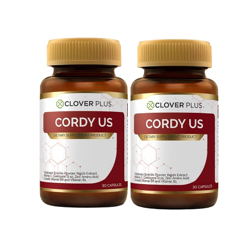 Cordy US