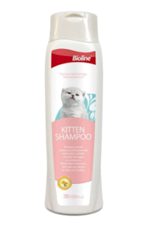 Kitten Cat Shampoo 1