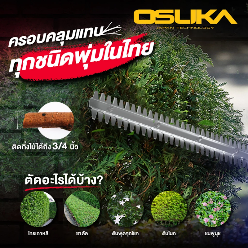 เครื่องตัดแต่งพุ่มไม้ 3