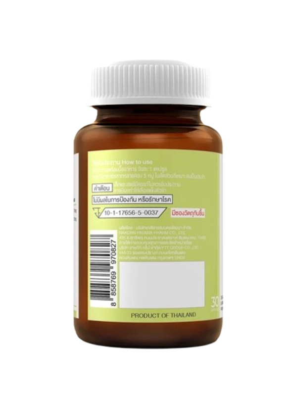 Ginkgo Plus 2