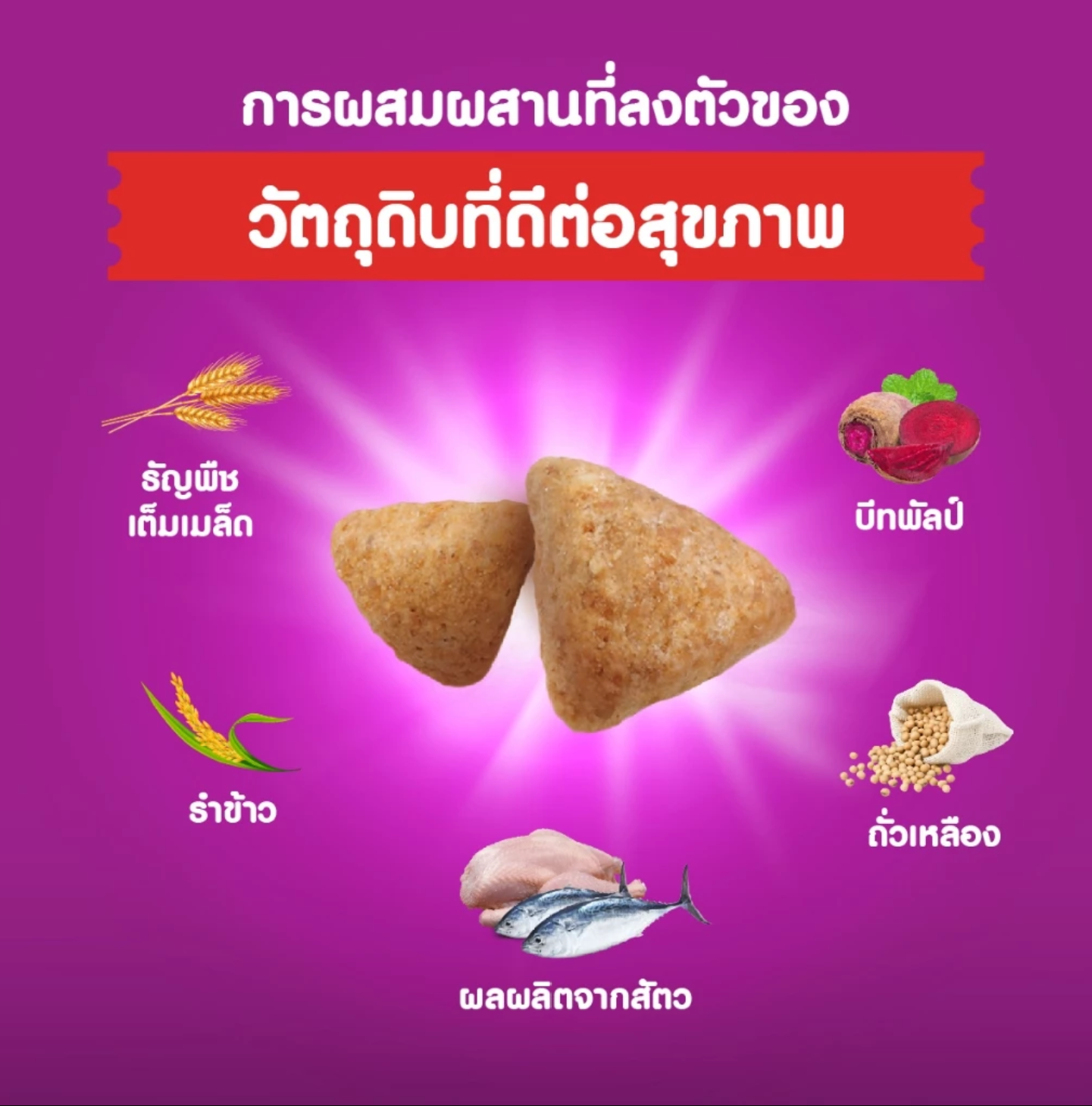  อาหารเม็ดแมวสูตรบำรุงผิวหนังและเส้นขน สำหรับแมวโต 2