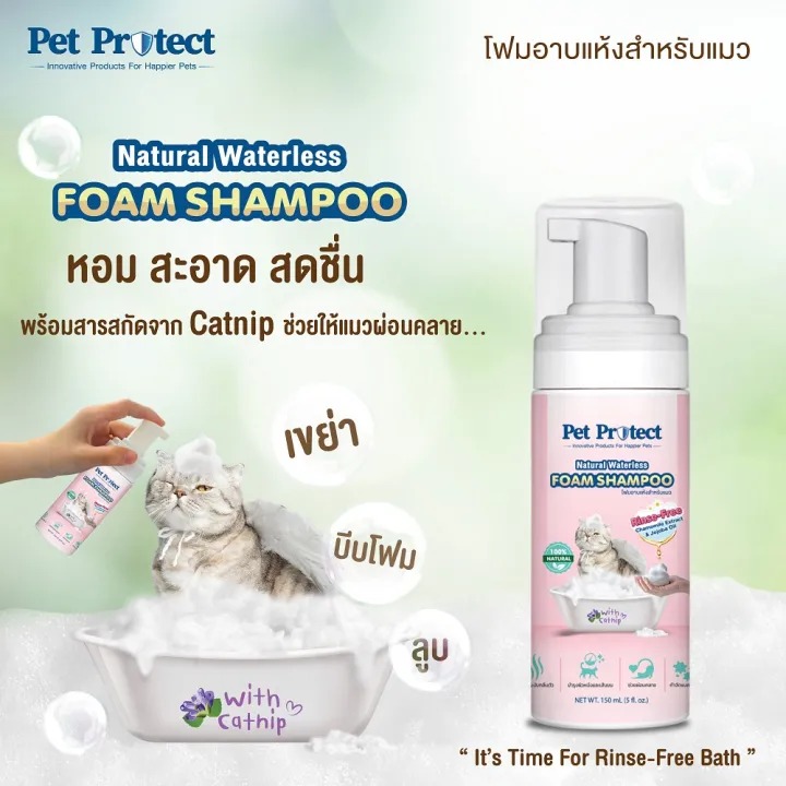 แชมพูอาบแห้ง Foam Bath Shampoo  2