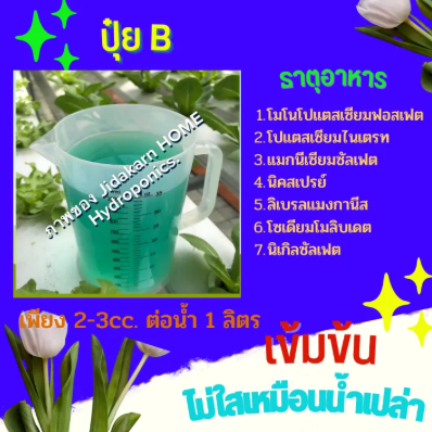 ปุ๋ย AB ชนิดเข้มข้น 3