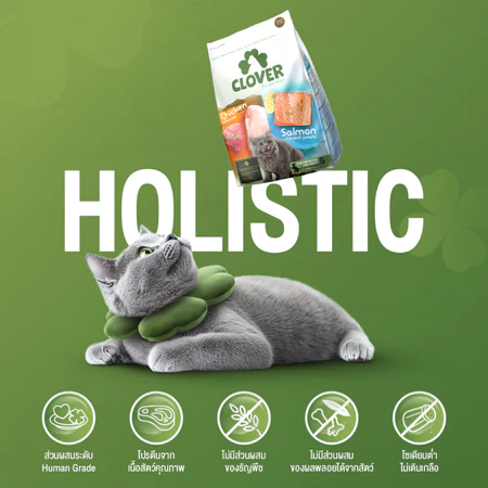 Holistic Grain-Free 3