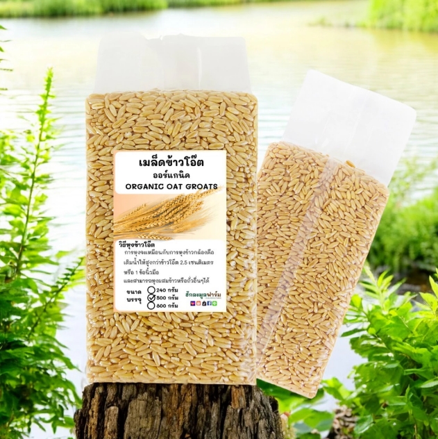 ข้าวโอ๊ต Organic Oat Groat 2