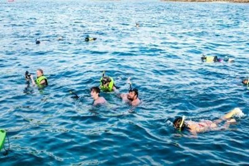 ที่พักเกาะพีพี ชาวเกาะ พีพี โฮเต็ล แอนด์ รีสอร์ท 5