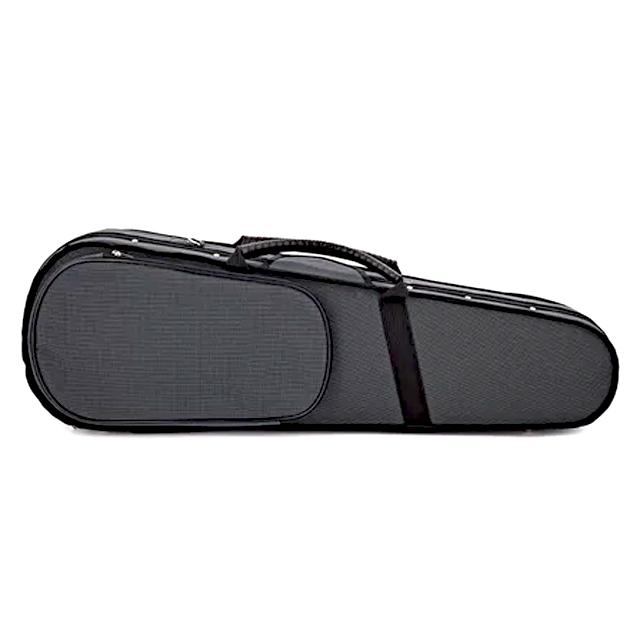 ไวโอลิน Violin 3