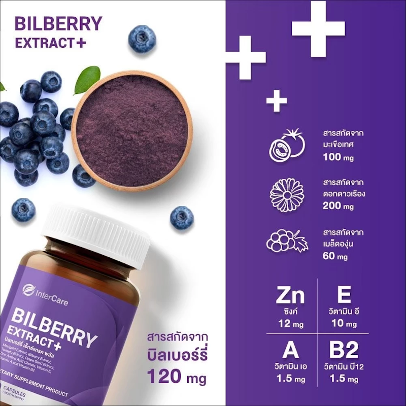 Bilberry Extract Plus 3