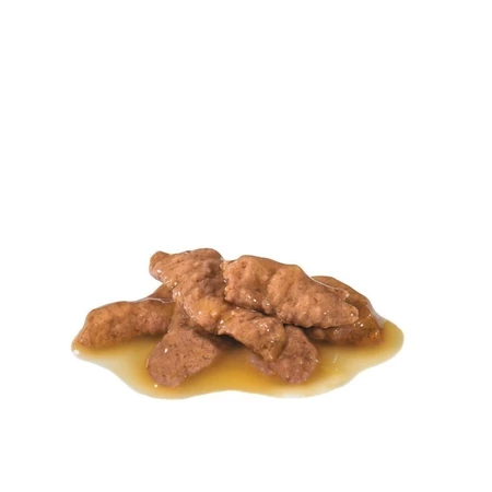 Indoor 7+ Pouch Gravy 3