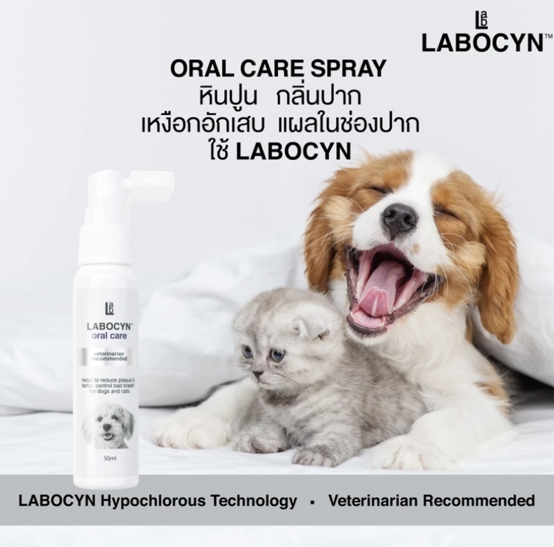 Oral Care Spray สำหรับสุนัขและแมว 2