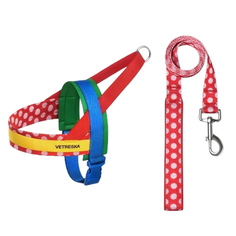 สายรัดอกสุนัข Chroma Pet Harness & Leash Set ขนาด S 1