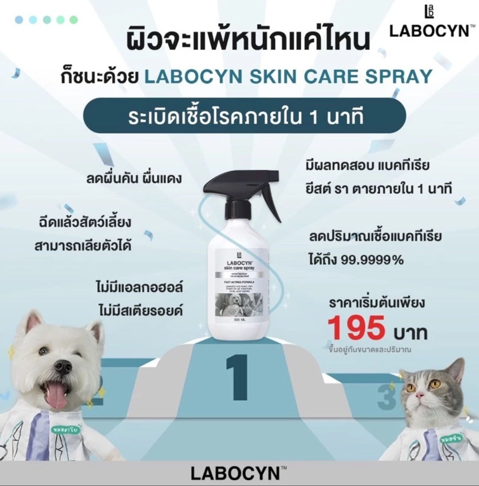 สเปรย์ดูแลผิวหนังสำหรับสัตว์เลี้ยง Skin Care Spray 2