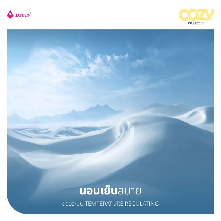 ผ้าปูที่นอน Cozy  2