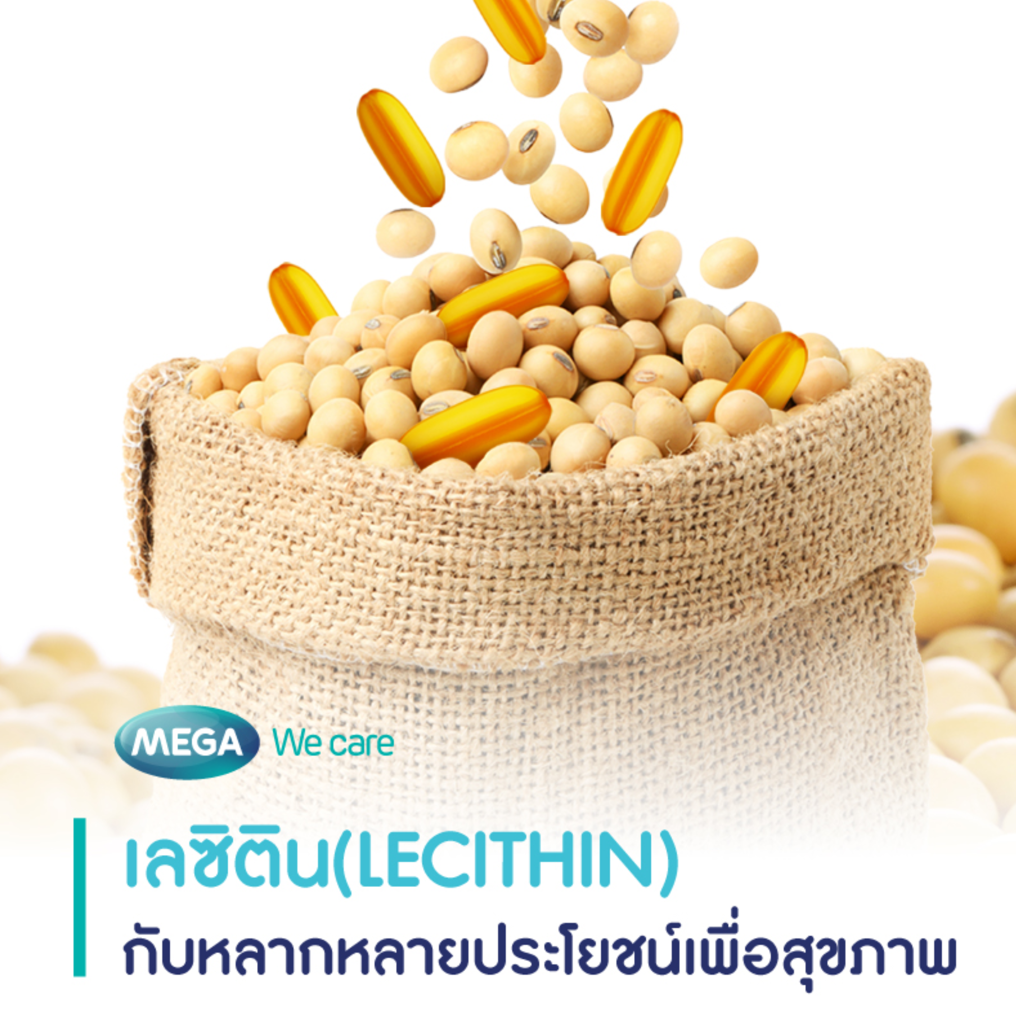 Lecithin 3