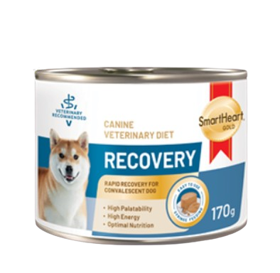 Recovery อาหารสุนัขป่วย  1