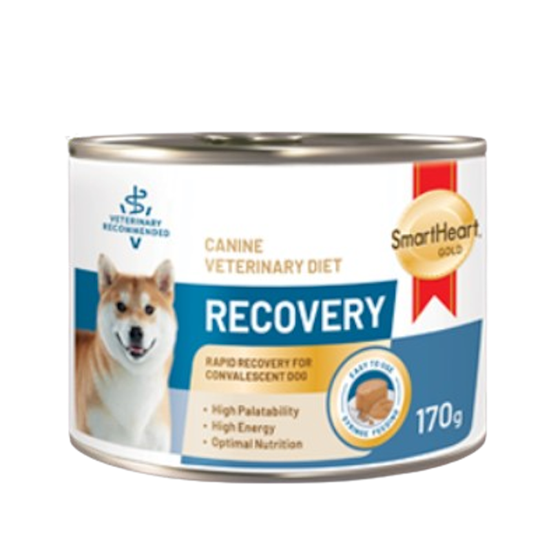 Recovery อาหารสุนัขป่วย 1