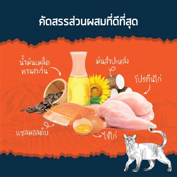 อาหารแมว Grain-free Essential Chicken and Salmon Flavour 2