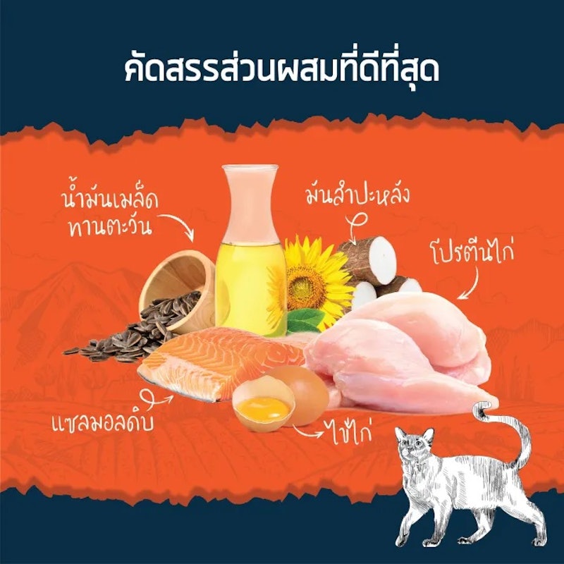 อาหารแมว Grain-free Essential Chicken and Salmon Flavour 2