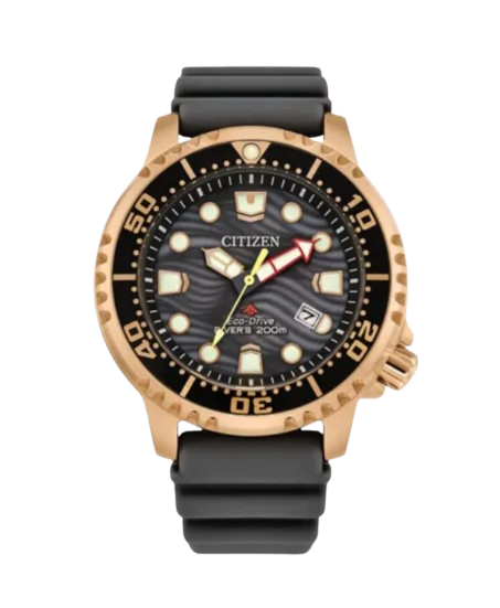  Eco-Drive Promaster Diver Men's Watch 1