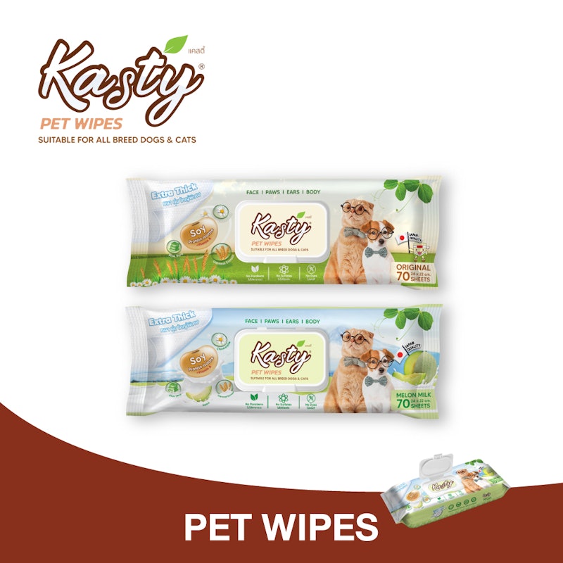 Pet Wipes Original 2
