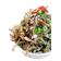 Seoul Zeed เครื่องเคียงเกาหลี ปลาข้าวสารเกาหลีผัด 1