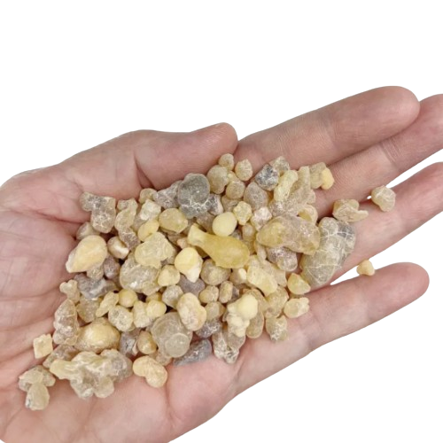 Frankincense Resin Gum Tear 2