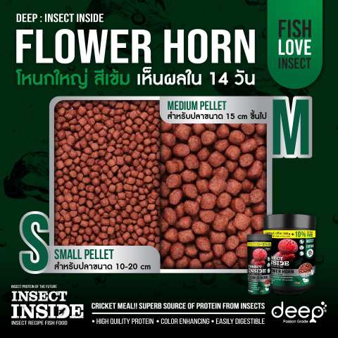 อาหารปลาหมอสี Flower Horn 3