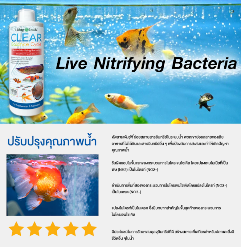 จุลินทรีย์บ่อปลา Clear Balance Cycle 3