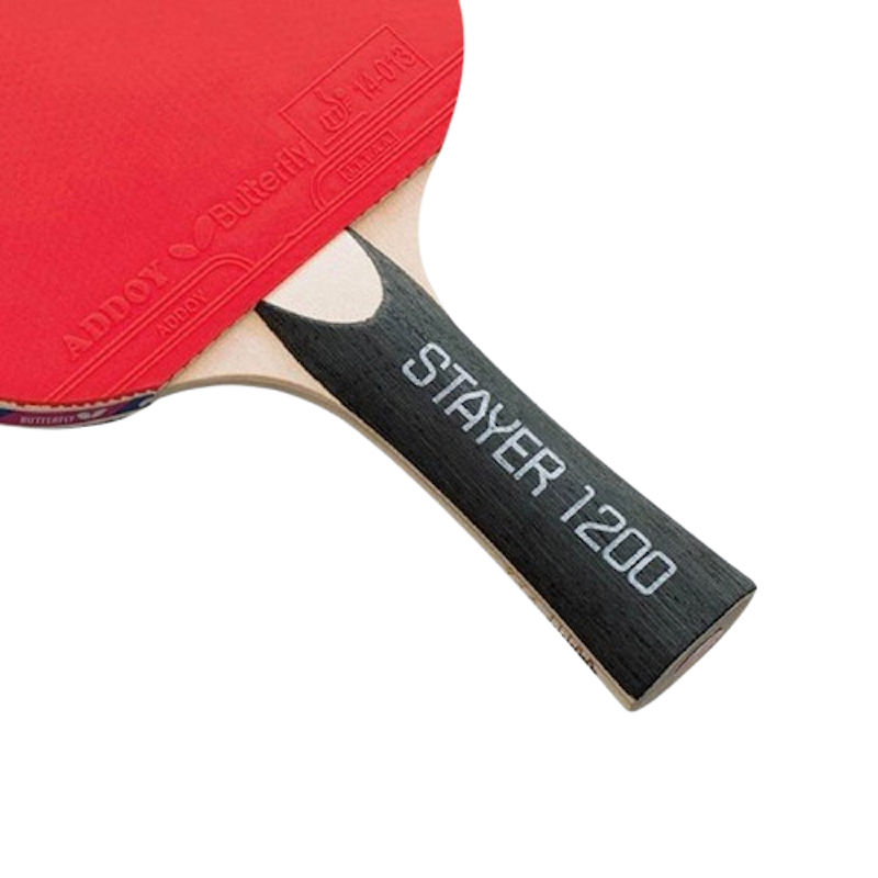 Stayer 1200 3