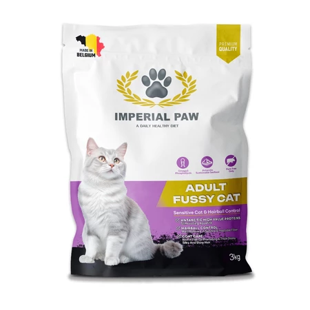 Adult Fussy Cat 1