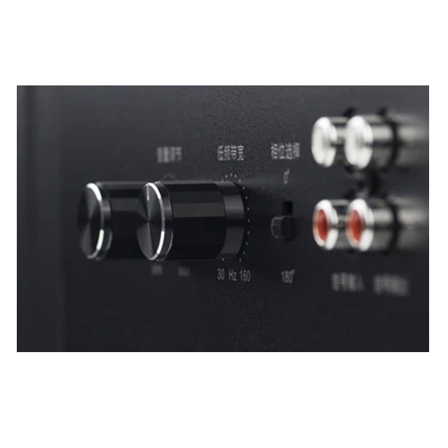 Powered Subwoofer 3