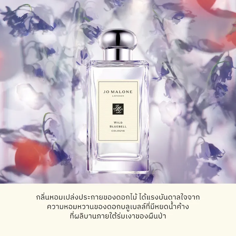 Wild Bluebell Cologne 3