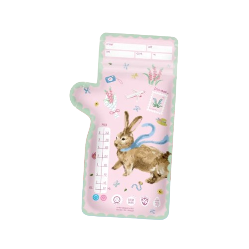 Bon Voyage  2