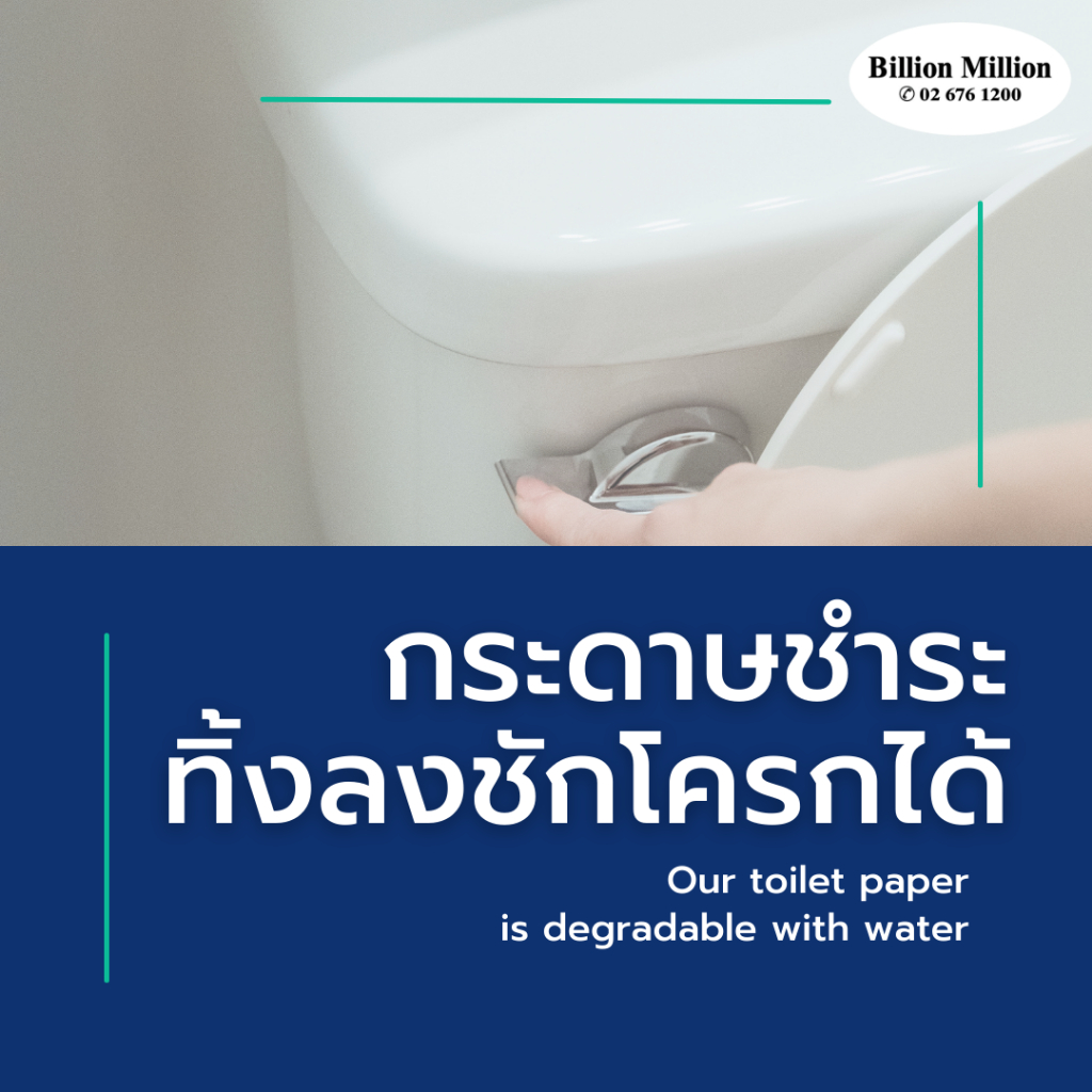 กระดาษชำระม้วนใหญ่ 3