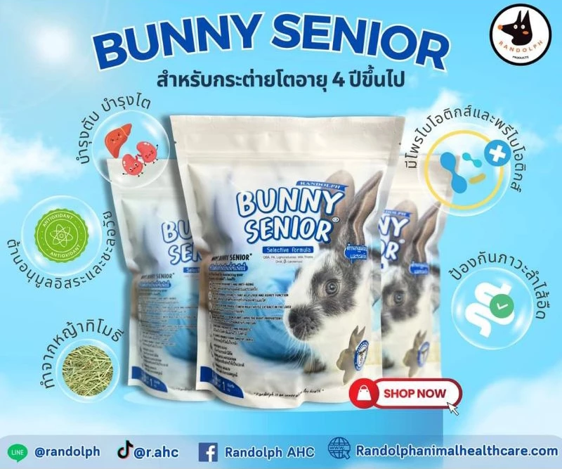 BUNNY SENIOR 3