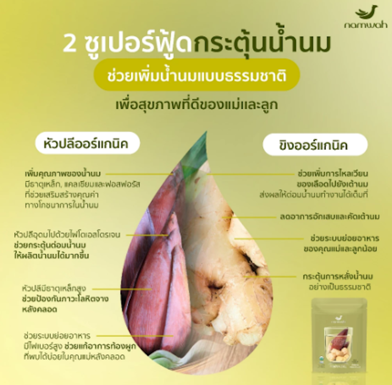 เครื่องดื่มผงหัวปลีผสมขิงออร์แกนิคตราน้ำว้า 2