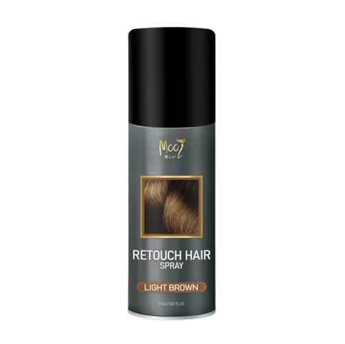 สเปรย์ปิดผมขาว Retouch Hair Spray 2