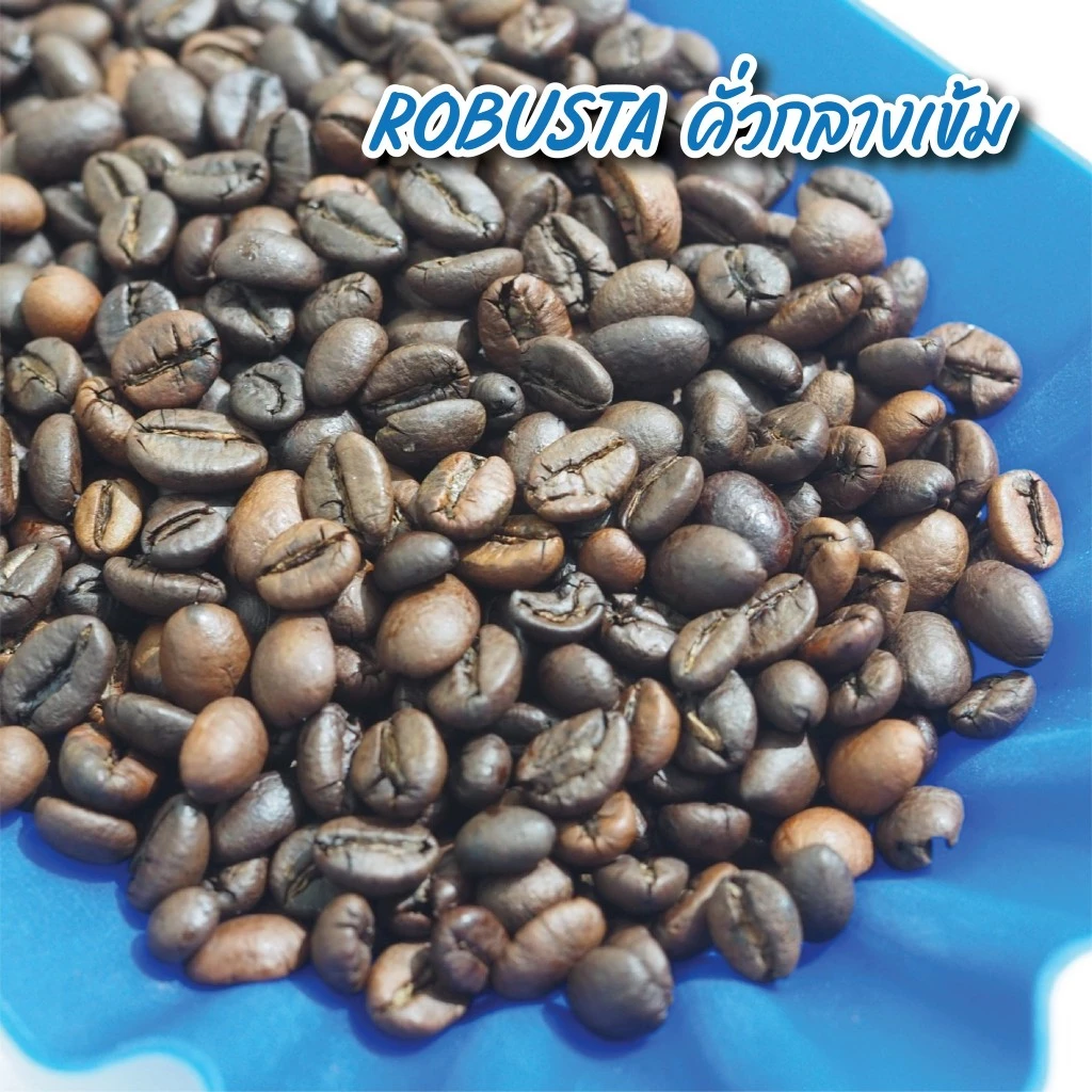 Robusta 3