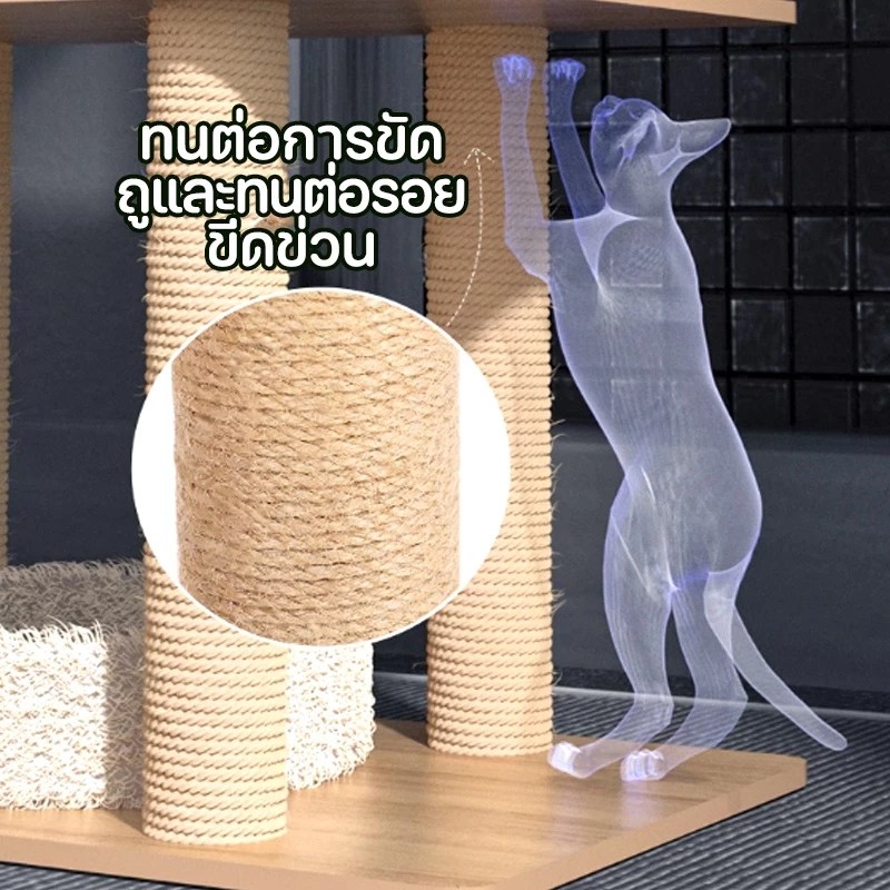 คอนโดแมวไม้ 3