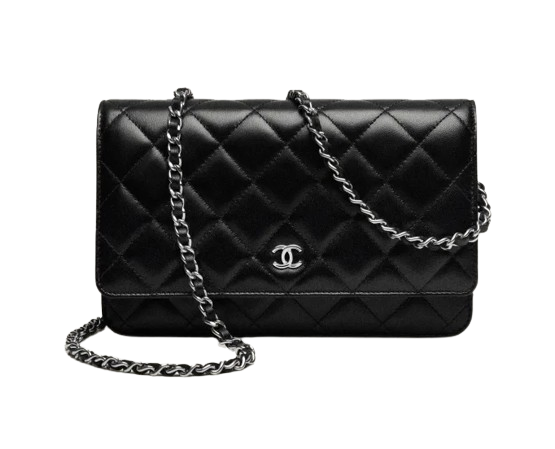 Chanel Wallet on Chain  1