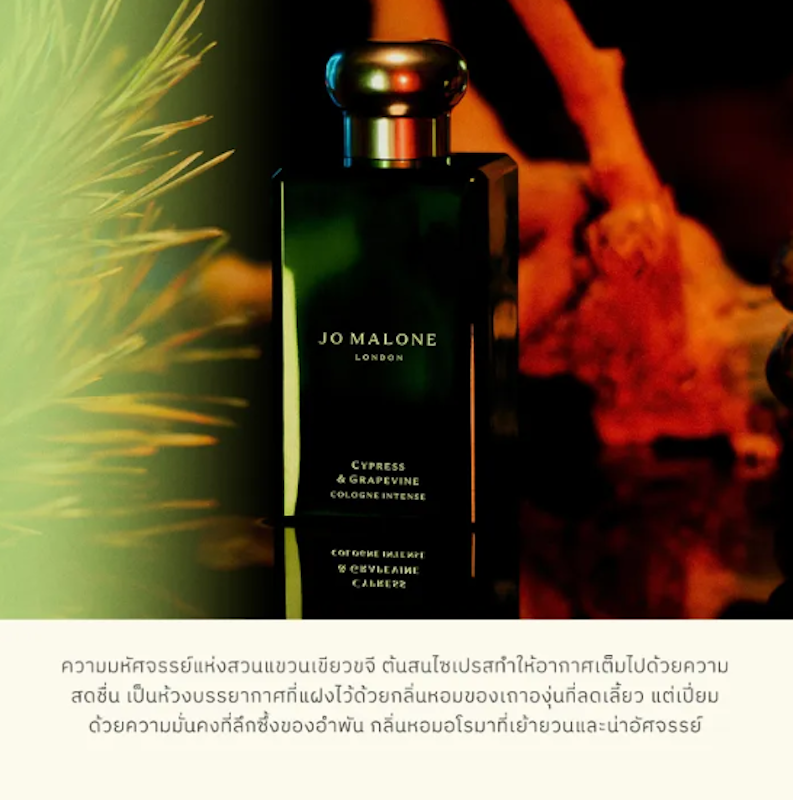 Myrrh & Tonka Cologne Intense 2