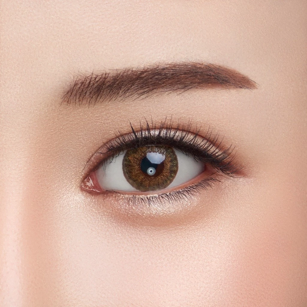 คอนแทคเลนส์สี ออลคอน Freshlook One Day Color 4