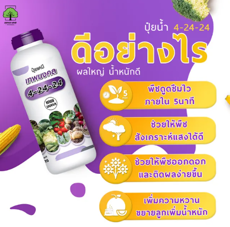 ปุ๋ยน้ำ 4-24-24 สูตรเร่งแตกตาดอก 2