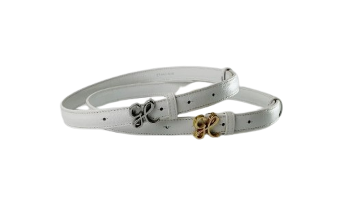 Signature Buckle Belt 1