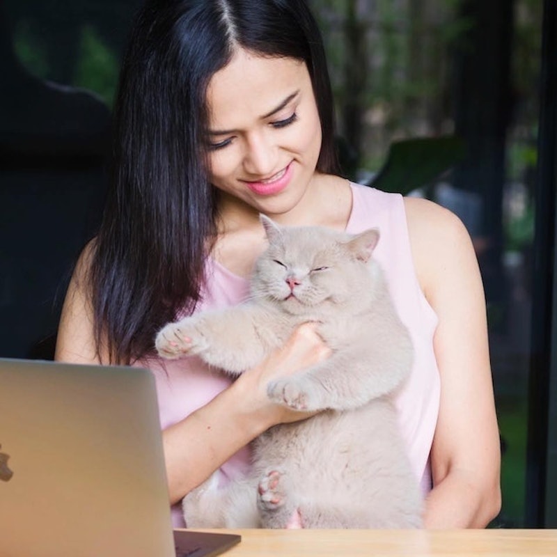 ฟาร์มแมว Banmecat & Ma-Meaw Land 1