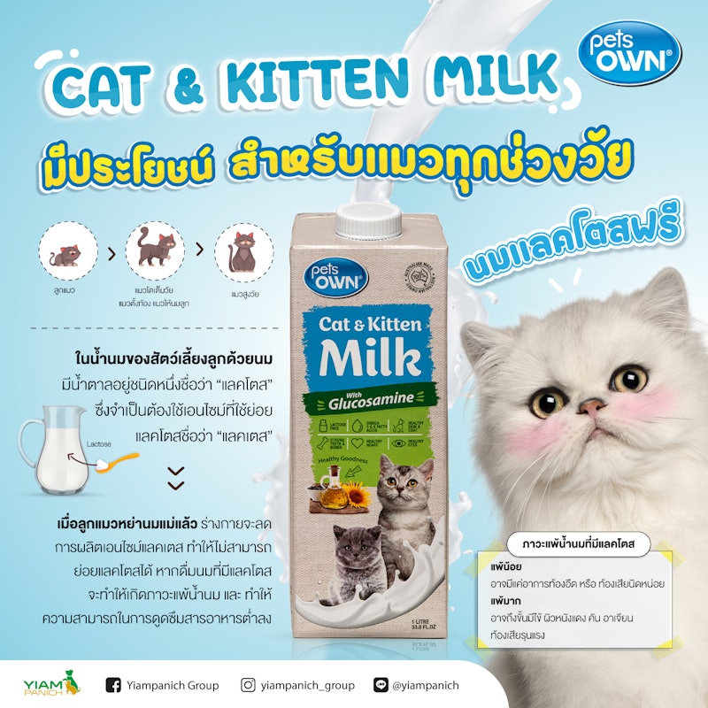 นมพร้อมดื่มแลคโตสฟรี สำหรับแมว 3