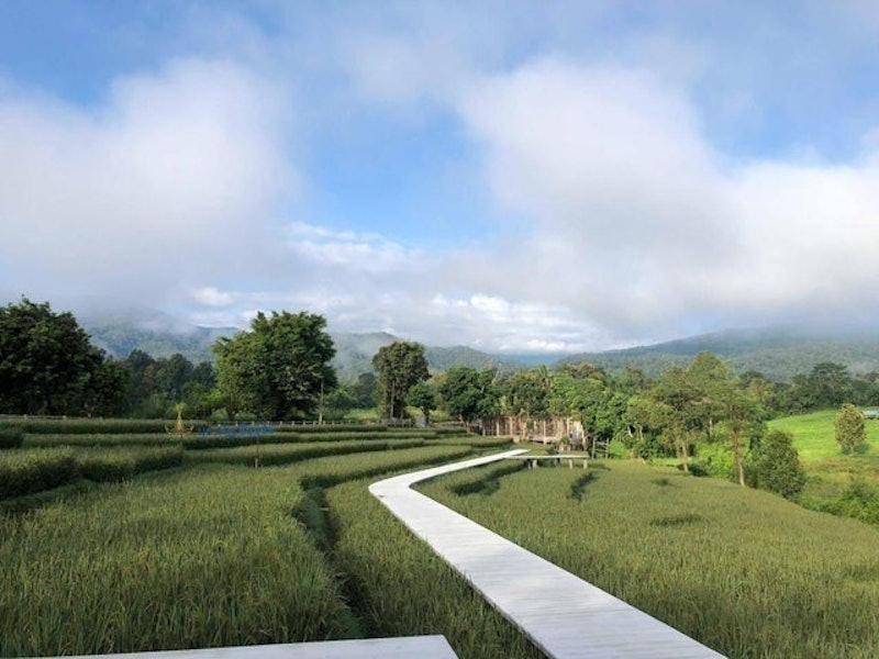 ที่พักเชียงดาว บุราภัฏ รีสอร์ท 3